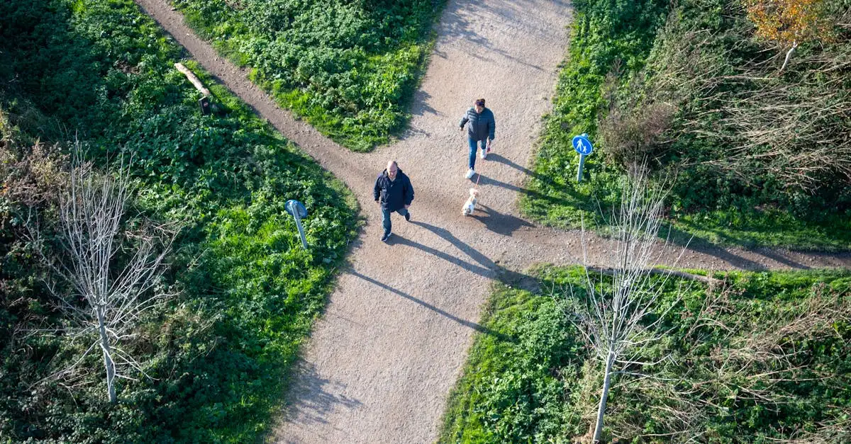 Waarom zijn honden de beste metgezellen voor mensen?