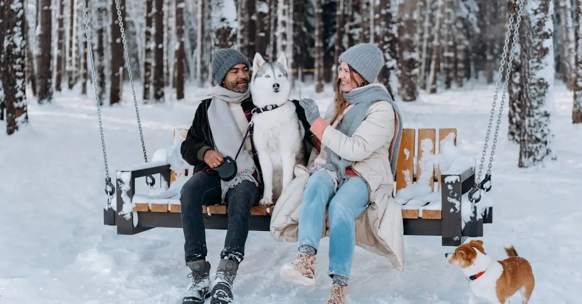 Waarom zijn honden de beste metgezellen voor mensen?
