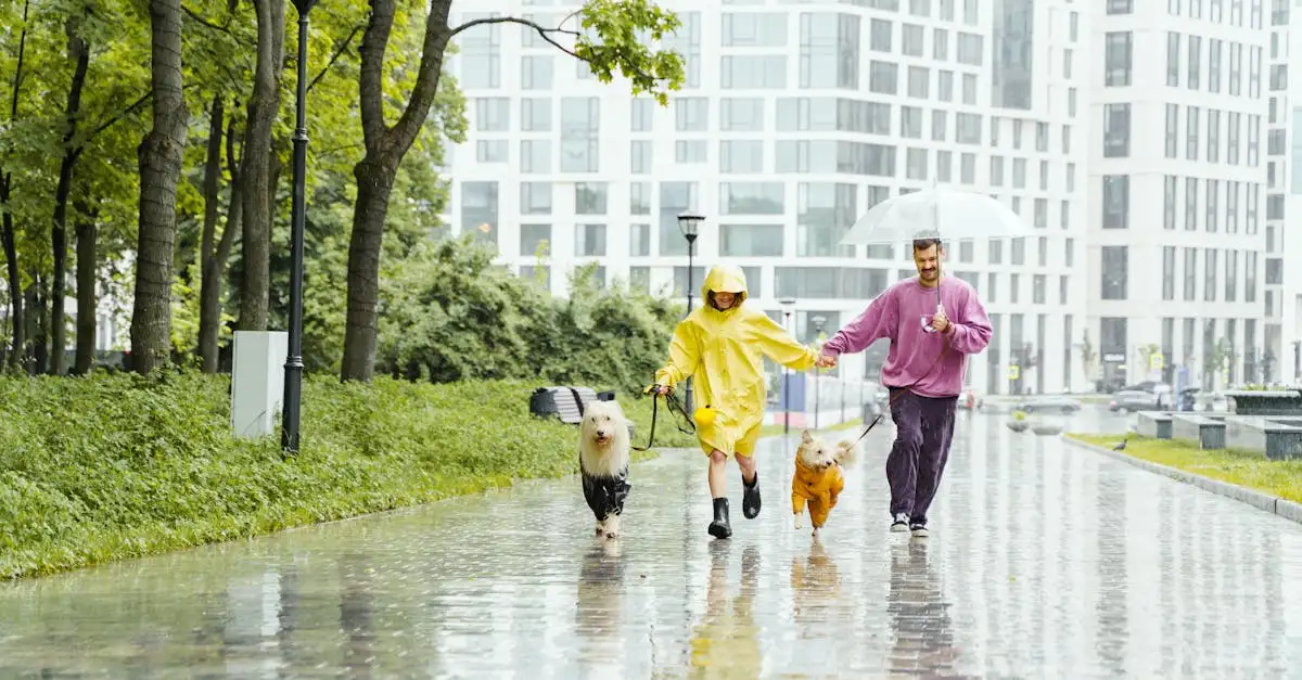 Wat is de rol van honden in slimme huizen? Ontdek het hier!