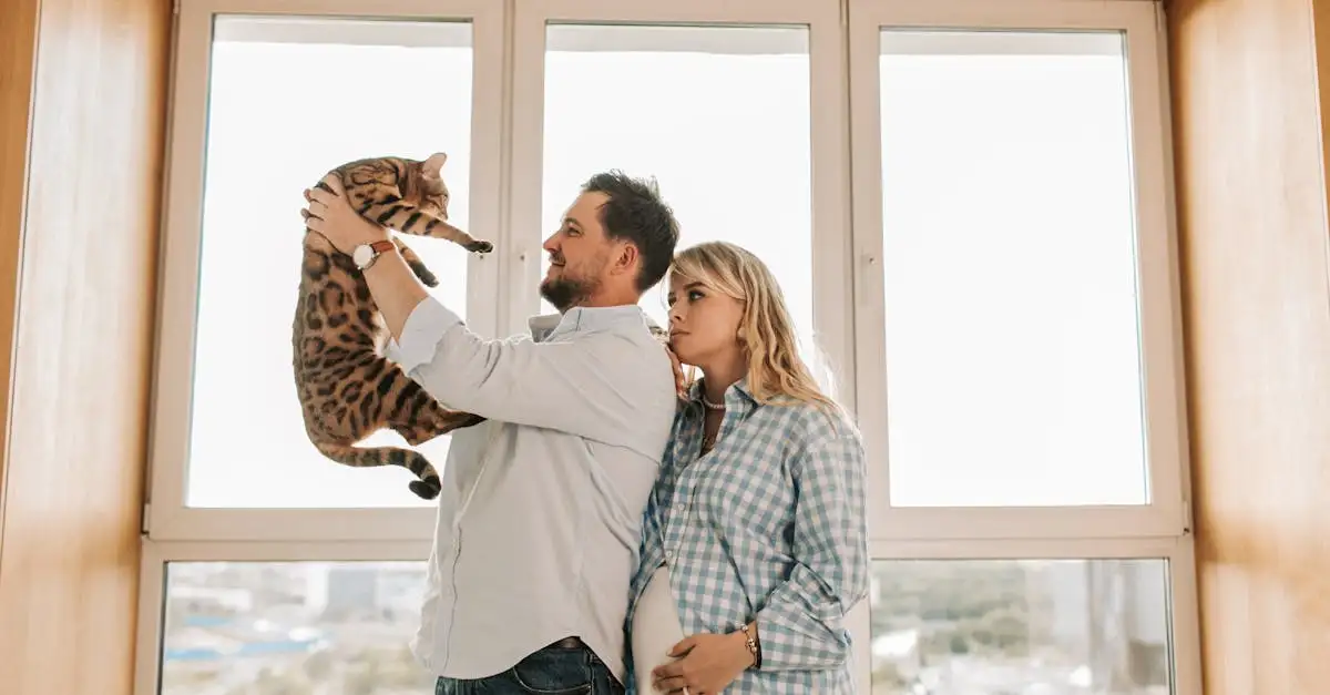 Wat is de toekomst van katten als huisdier in 2023?