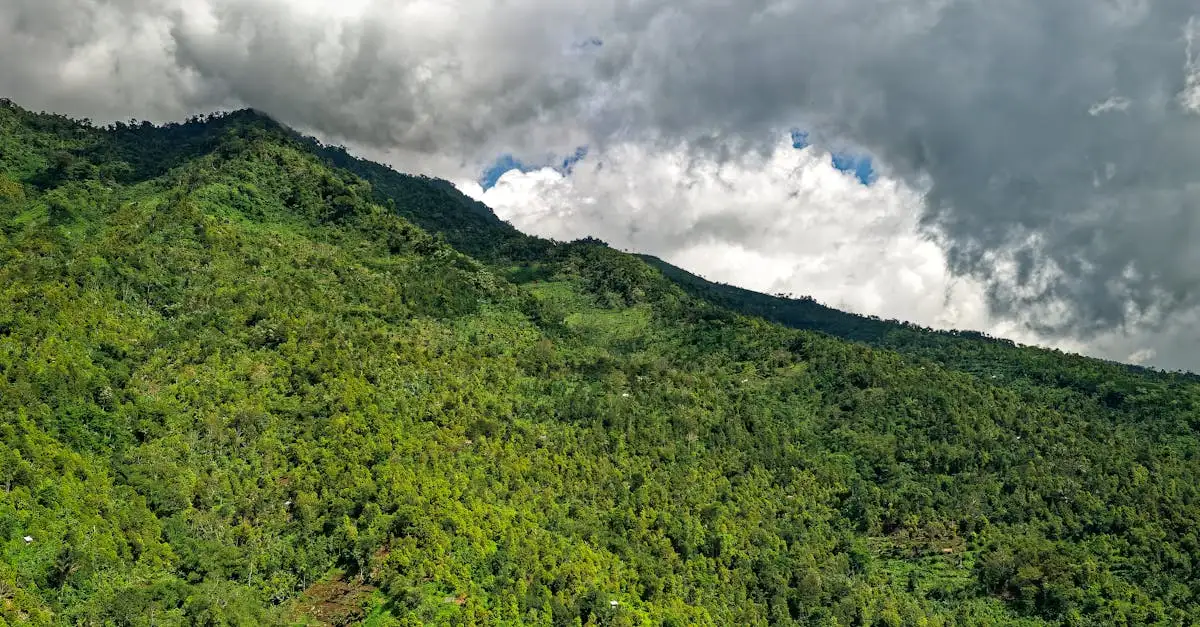 Wat zijn de top 3 bezienswaardigheden in Indonesië?