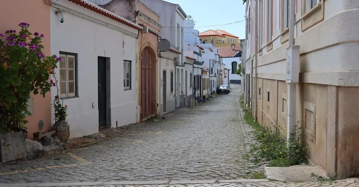 Welk deel van Portugal is populair bij de overwinteraars? Ontdek het!