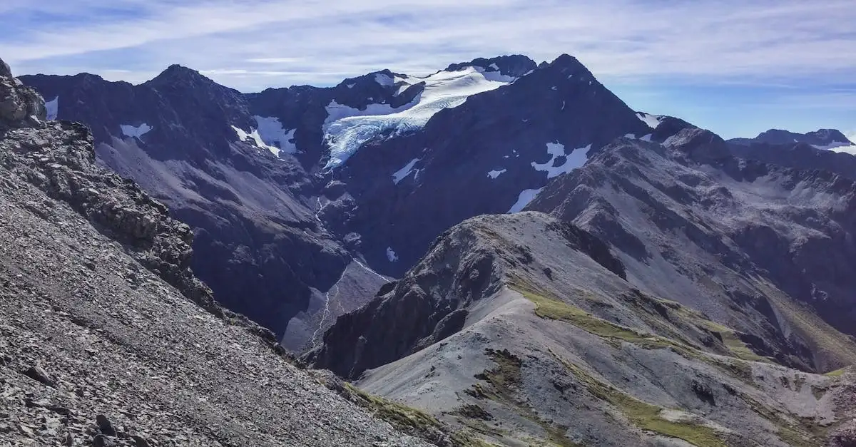 Welk natuurpark beschermt de Southern Alps in Nieuw-Zeeland?