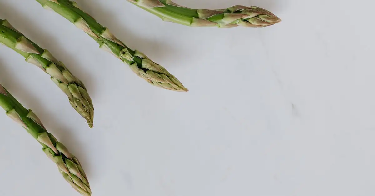 Welke groente bij asperges? Ontdek de beste combinaties!