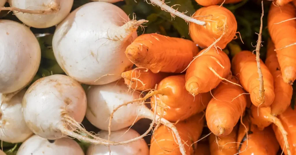 Welke groenten bij coq au vin? Ontdek de beste opties!
