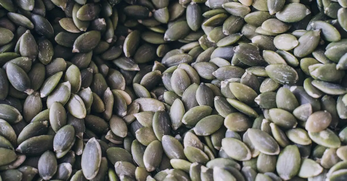 Welke magnesium bij reuma? Ontdek de beste opties hier!