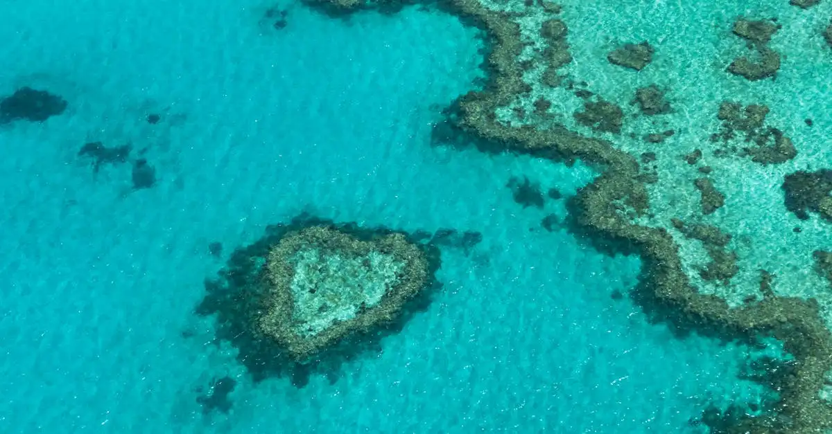 Welke regio in Australië staat bekend om het Great Barrier Reef?