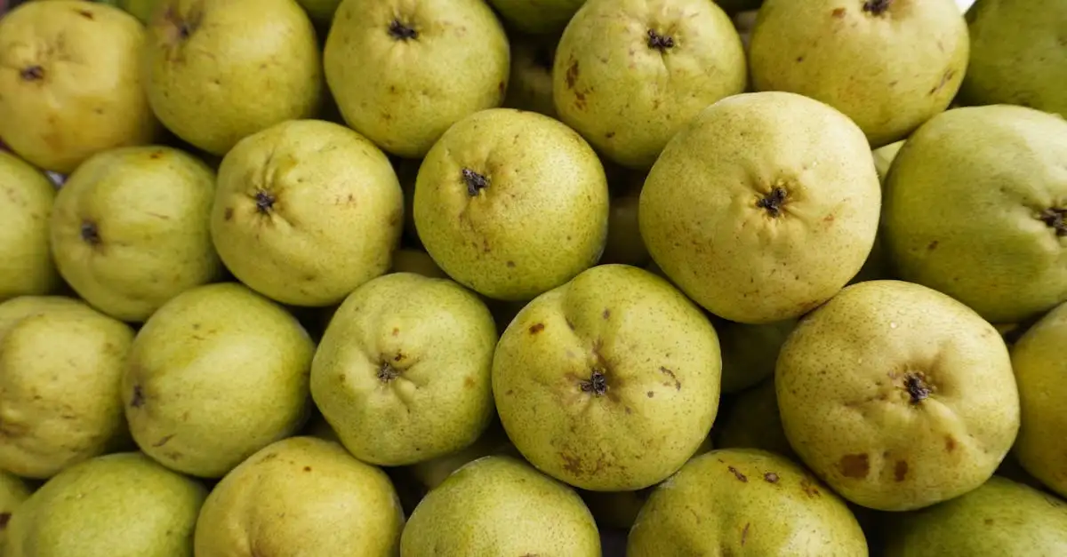 Welke vitaminen bij haaruitval? Ontdek de beste opties!