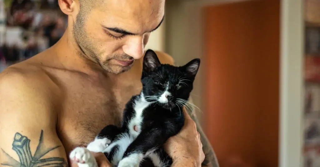 Hoe beïnvloedt de relatie tussen kat en mens ons leven?