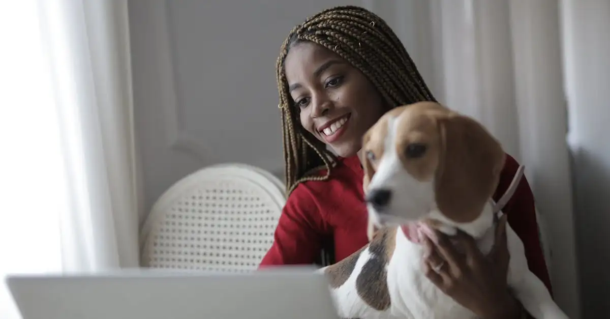 Hoe leren honden met positieve versterking? Ontdek het hier!