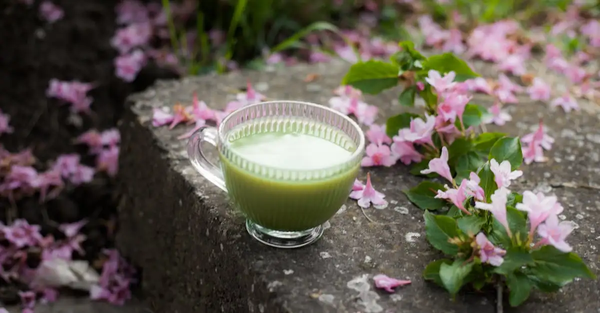 Waar is matcha goed voor? Ontdek de voordelen en tips!