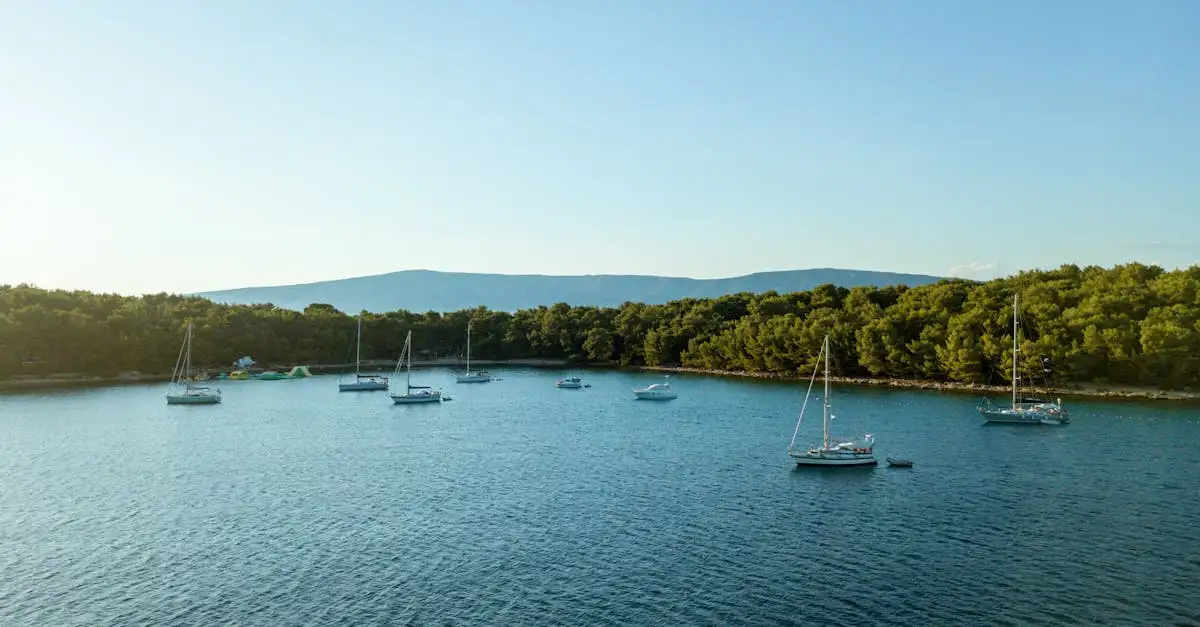 Waarom is Hvar, Kroatië een populaire zomerbestemming?