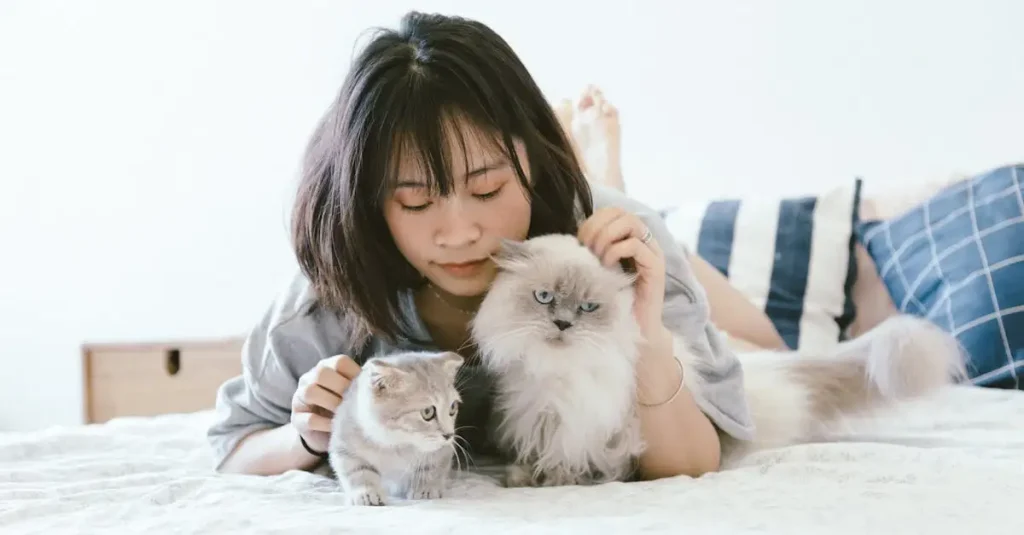 Waarom zijn katten perfect voor het leven binnenshuis?