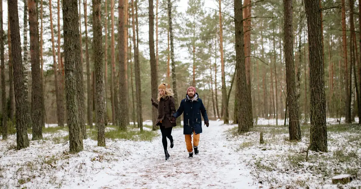 Wat te doen in de bossen van de Ardennen, België?