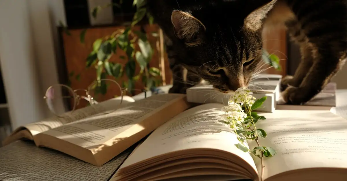 Wat zegt wetenschappelijk onderzoek over katten?