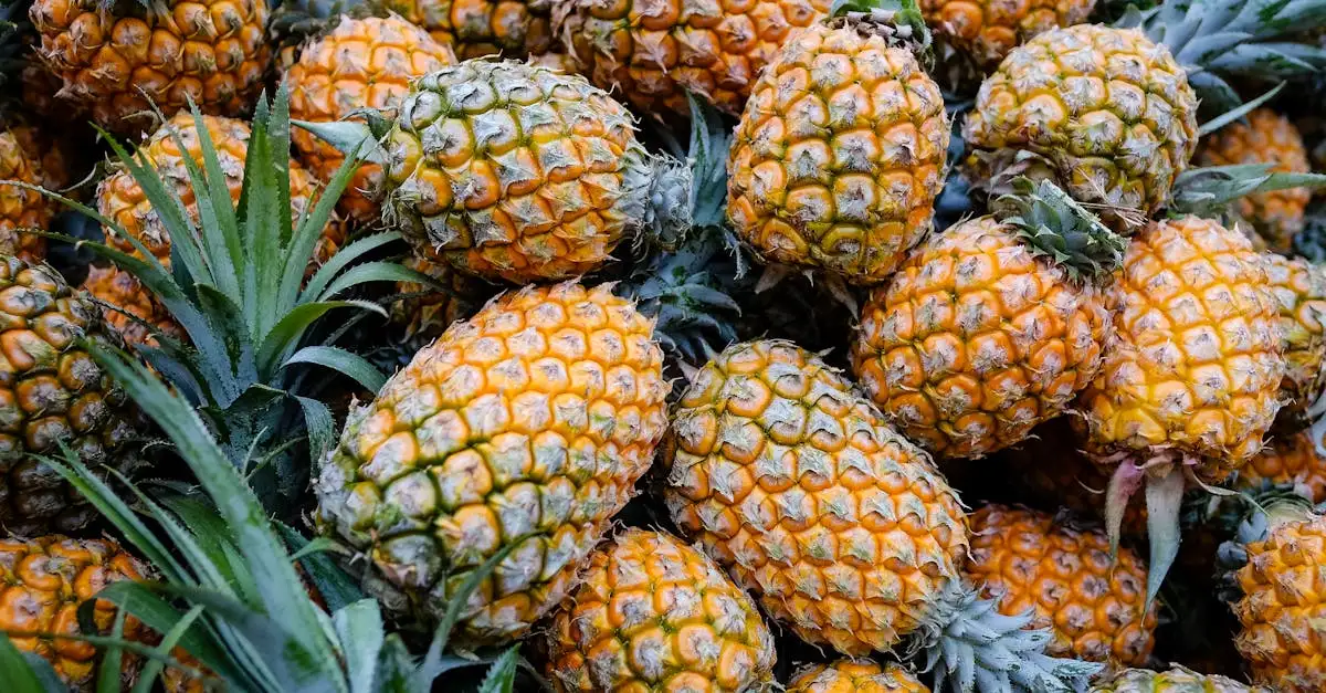 Welk dieet bij PCOS? Ontdek de beste voedingsadviezen hier!