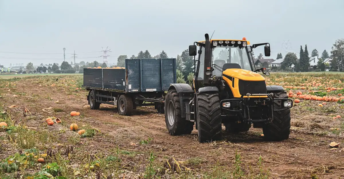 Welke groenten passen bij elkaar in de moestuin? Ontdek tips!