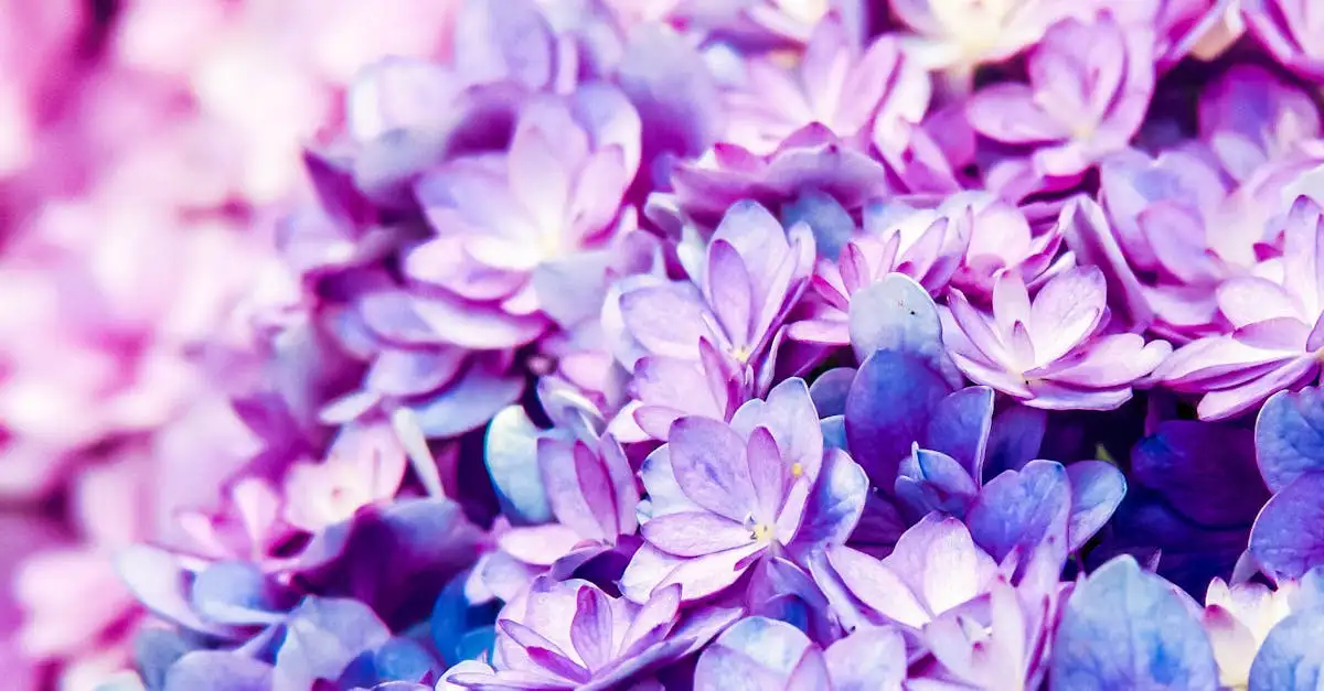Welke planten bij hortensia? Ontdek de beste combinaties!