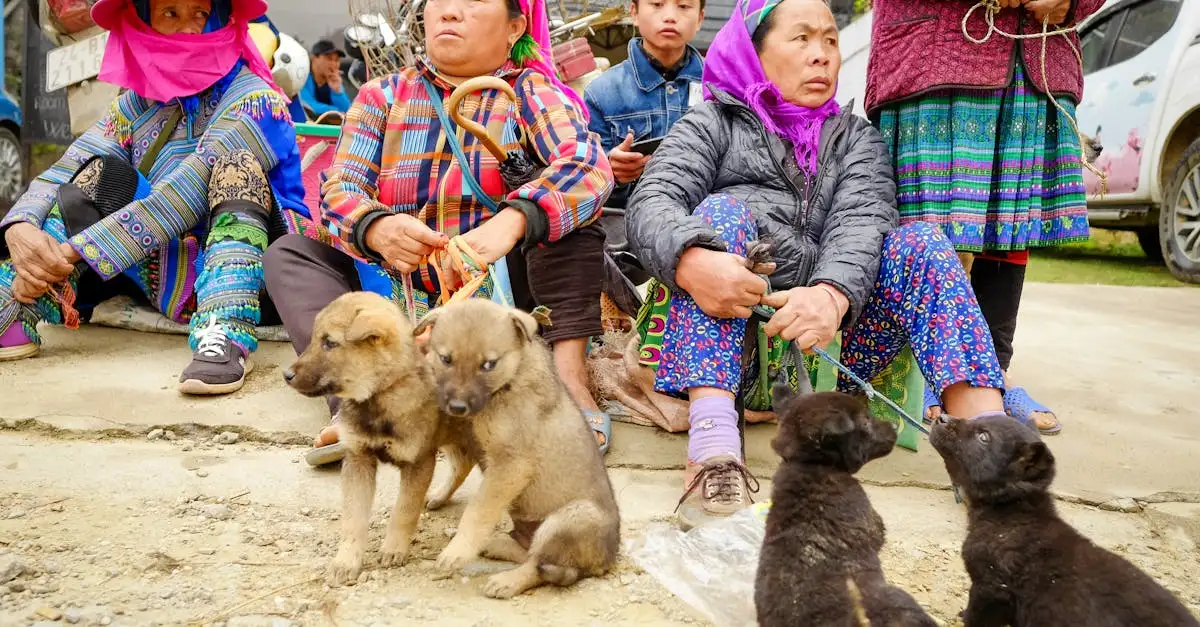 Hoe worden honden gewaardeerd in Aziatische culturen?