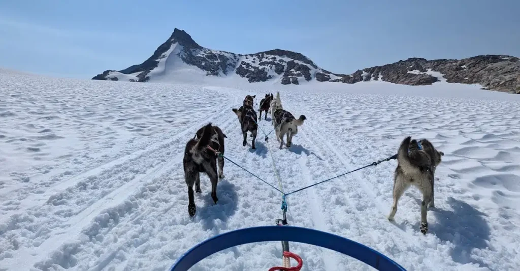 Is Alaska de beste plek voor shamanen om met artsen samen te werken?