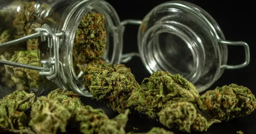 Waar is CBD goed voor? Ontdek de voordelen en toepassingen!