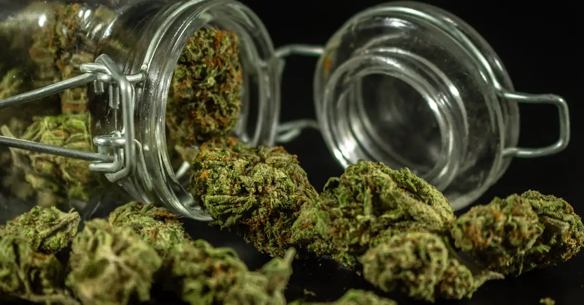 Waar is CBD goed voor? Ontdek de voordelen en toepassingen!