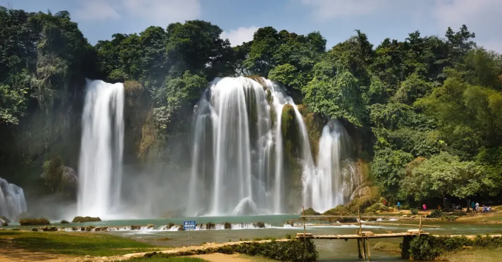 Wat ontdek je in het regenwoud van Amazonas, Brazilië?