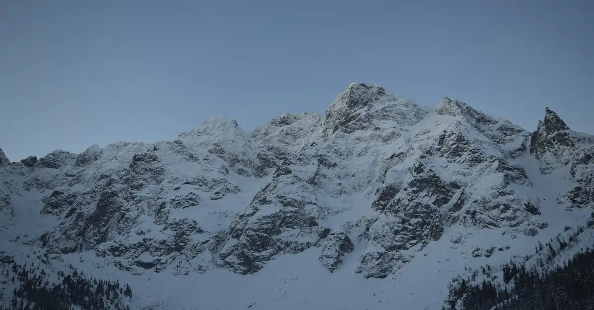 Welke bergen in Slowakije en Polen zijn beroemd om bossen?