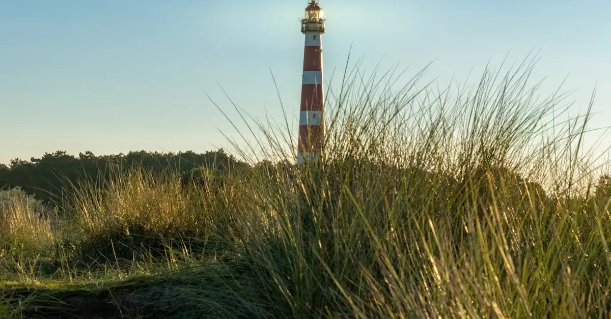 Welke eilanden horen bij Friesland? Ontdek ze hier!