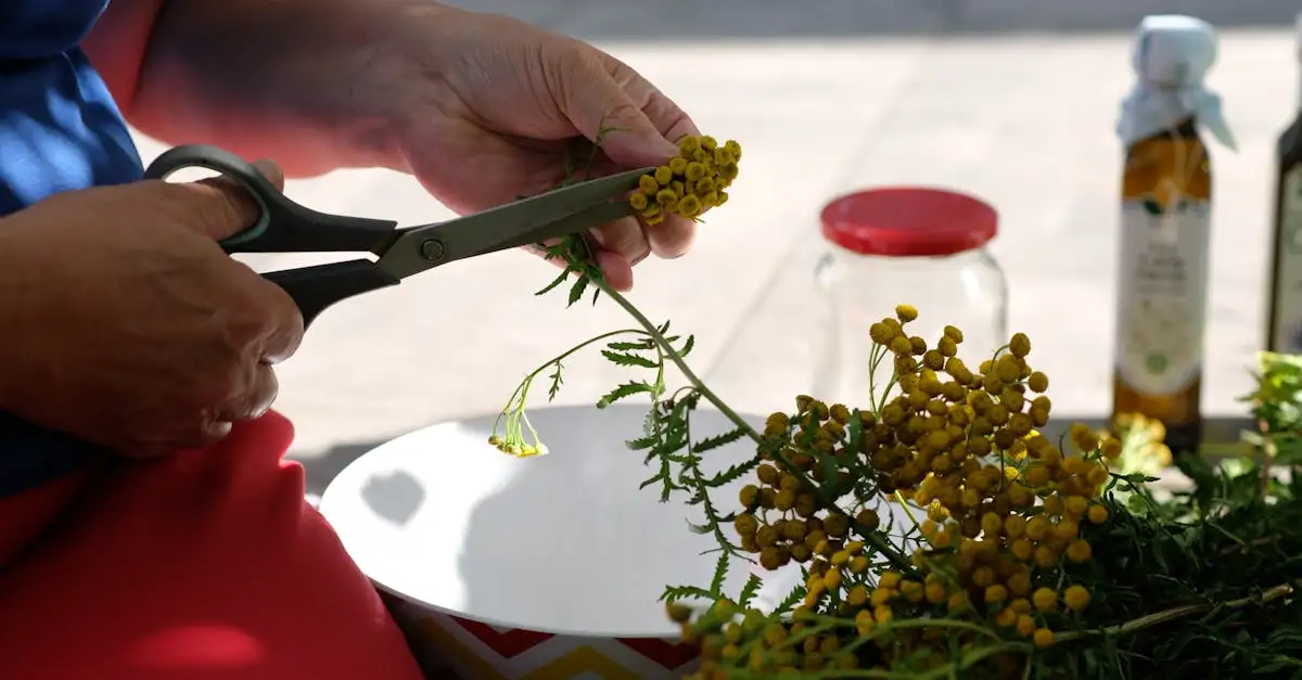 Welke kruiden bij asperges? Ontdek de beste combinaties!