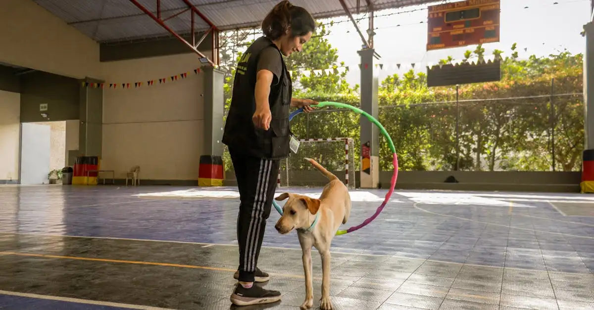 Hoe ontwikkelen honden hun sociale vaardigheden effectief?