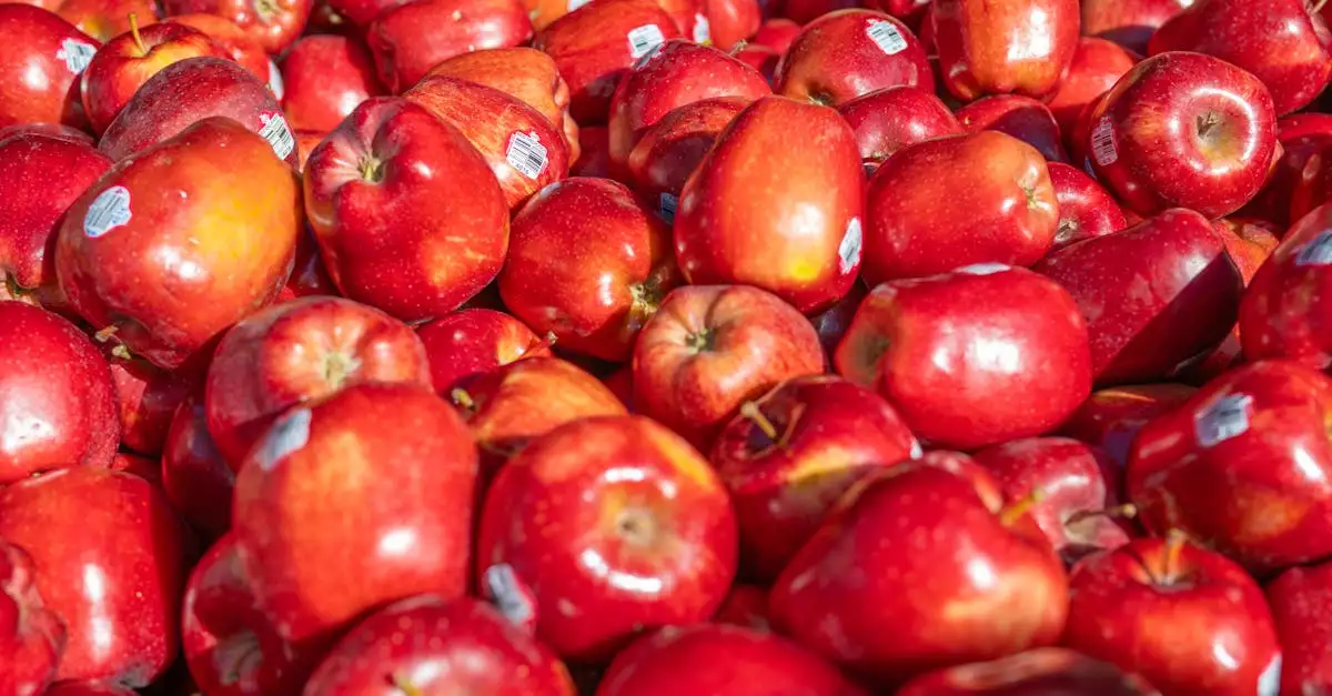 Waar is graviola goed voor? Ontdek de gezondheidsvoordelen!