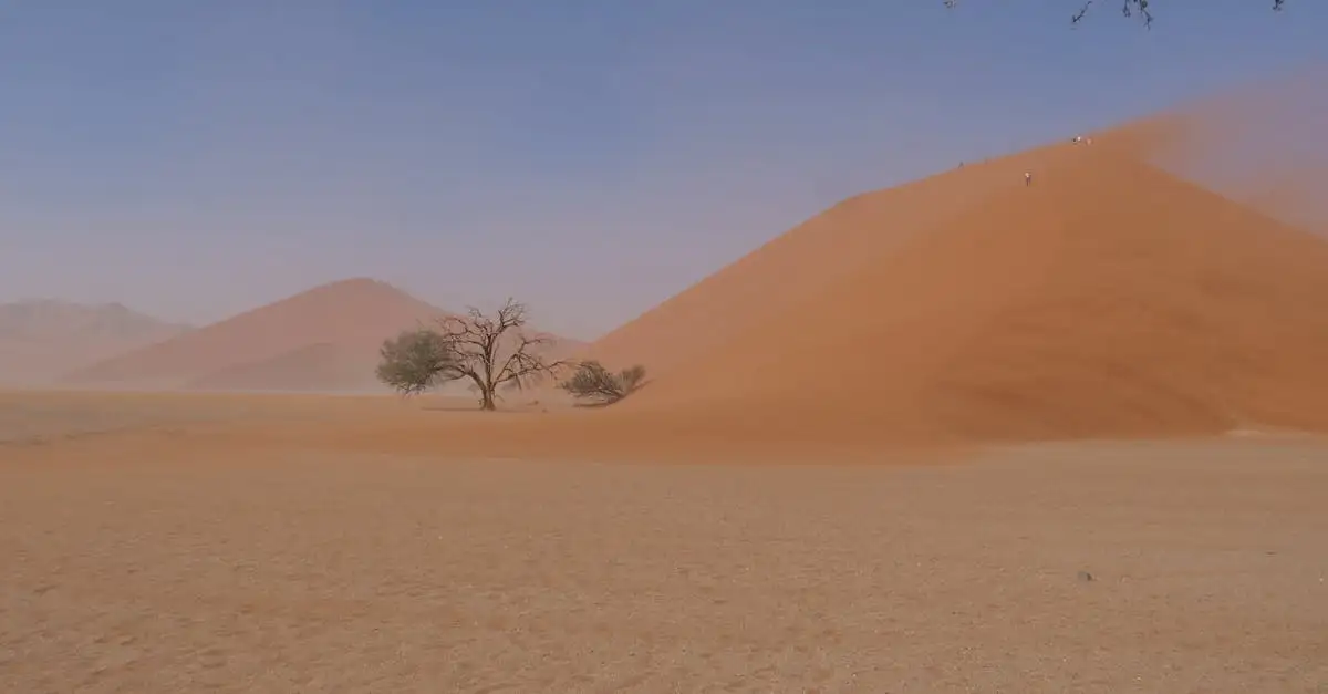 Waar vind je de zandduinen van Sossusvlei in Namibië?