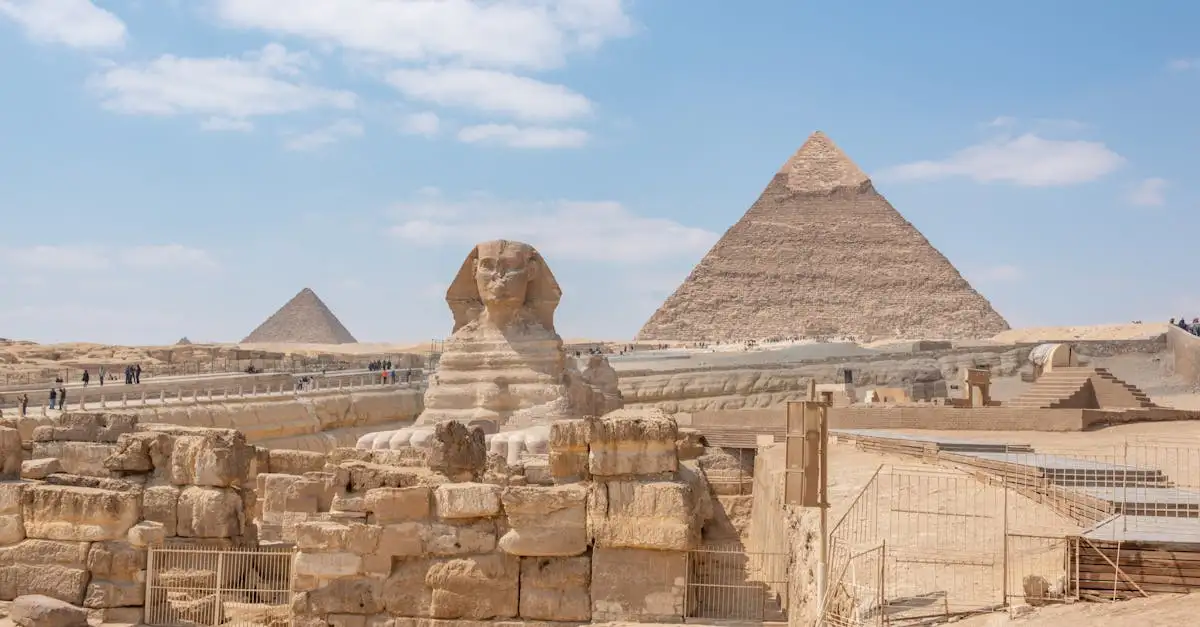 Waarom was de kat in de oudheid heilig? Ontdek het hier!
