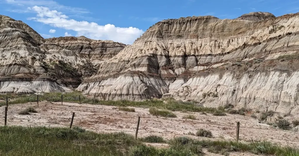 Wat waren de eerste belangrijke dinosaurussen fossielen?