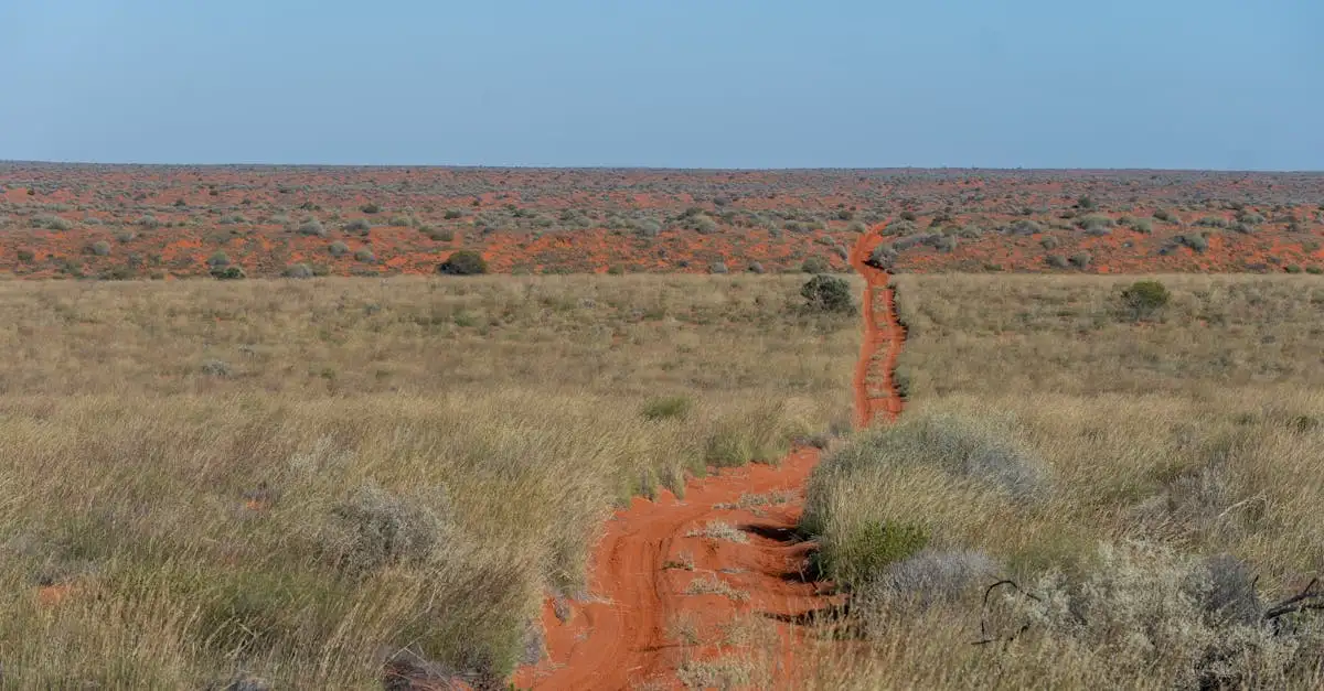 Welke regio in Australië heeft beroemde rode zandduinen?