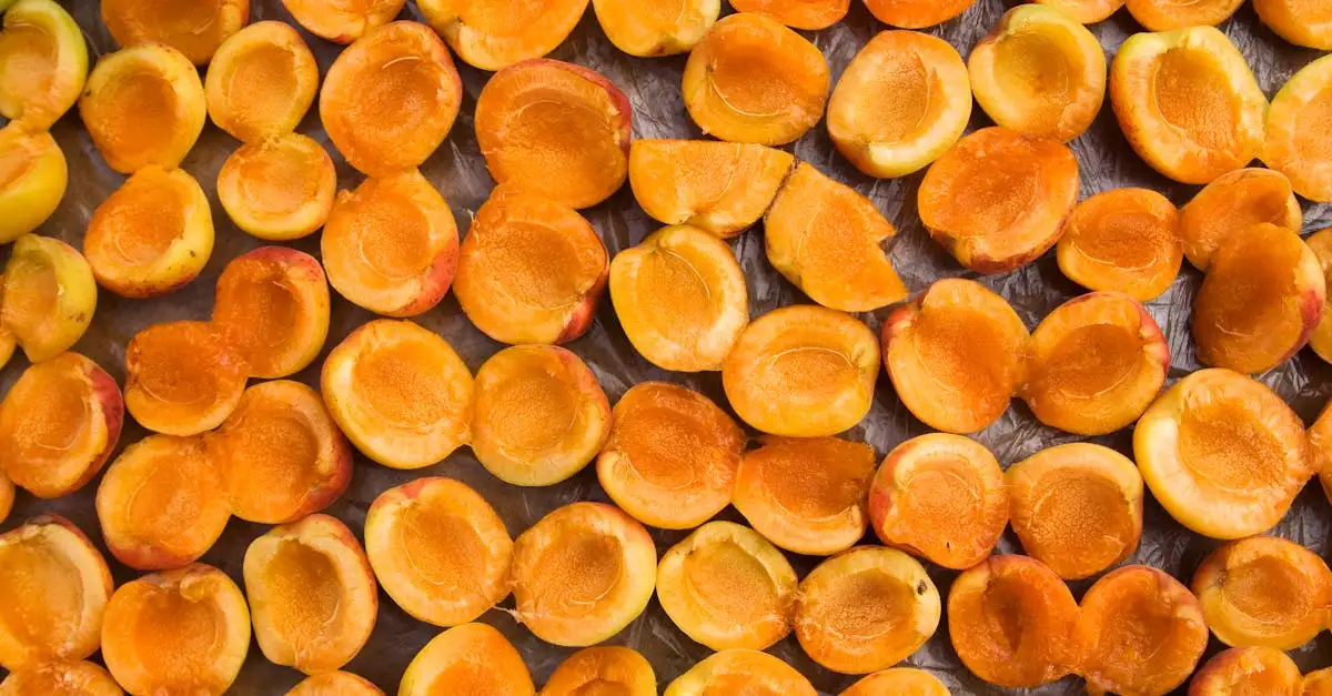 Wie ontdekte vitamine C en won de Nobelprijs?