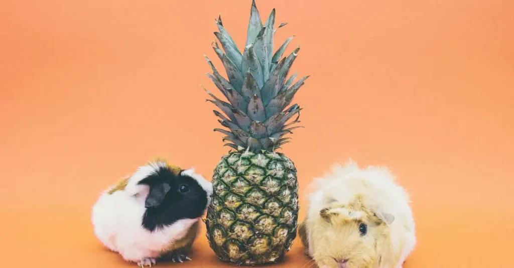 Mogen cavia's samenleven met andere huisdieren?
