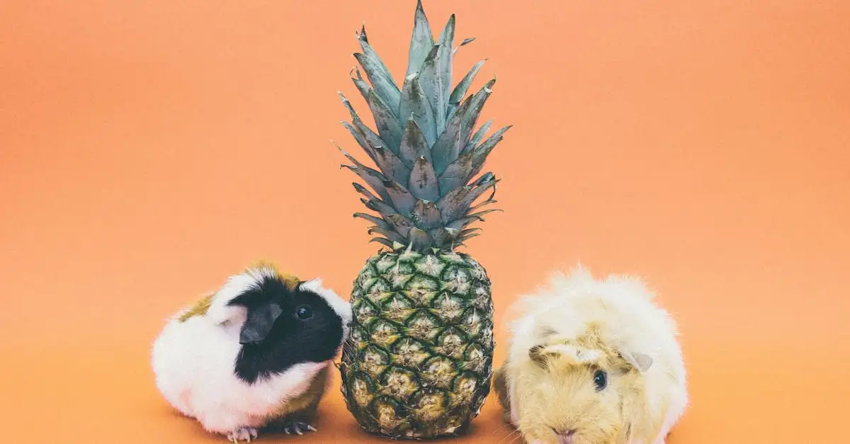 Mogen cavia's samenleven met andere huisdieren?